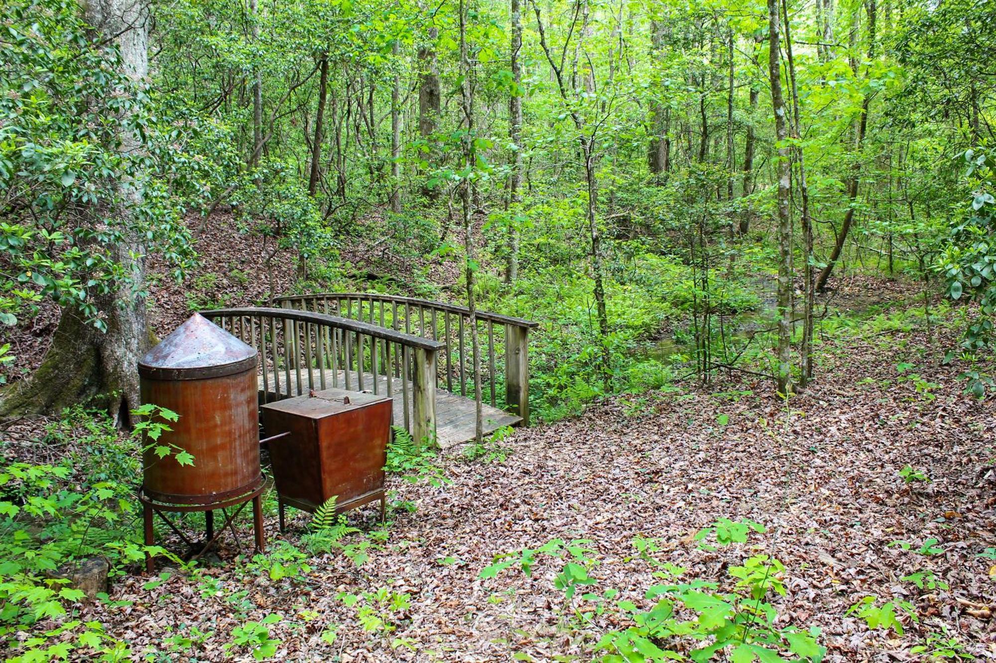 Sautee Nacoochee Mtn Paradise With Spacious Deck! 외부 사진
